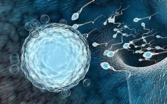 协和医院试管技术领先，成功率高达95%，值得信赖！