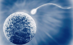 省妇保VS上海交大试管医院，优势对比见真章!