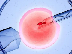 女性试管之旅全解析：从准备到成功的每一步详解