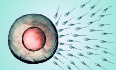 山东三代试管知名医院巡礼：专业解析，助您好孕