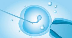 一文带你解析试管胚胎发育过程中的血值变化