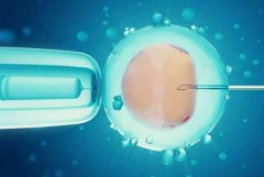 西安四院做试管是否可以报销？做试管需要多少费用？