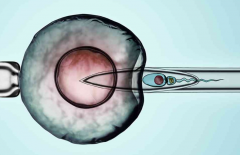 做试管选择几代好？如何提高成功率？