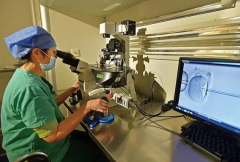 深圳试管详情介绍，你想知道的都在这里！