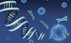 马来西亚试管费用优化指南：安心、经济、高效的全流程攻略