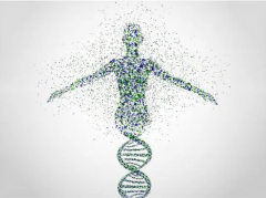 全面解析吉林助孕机构：精选9家试管医院，成功率排名权威揭晓！