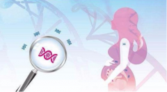 俄罗斯自助试管价格全曝光！精选最经济实惠的试管之旅方案