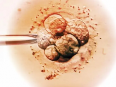 吕梁市人民医院试管费用全公开：详解就医花费，一文带您了解清楚！