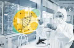 马来西亚试管技术引领全球：卓越成就，成功率卓越表现引瞩目！