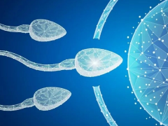 重医附二院试管服务：诚信为本，筑就信心之选！