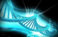 试管医院全面检查指南：了解每一步，助力好孕之路