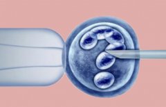 山东大学附属生殖医院有哪些服务保障？试管成功率如何？