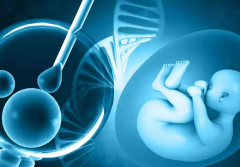 评估马来西亚试管成功率，40%-50%左右