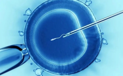 2024山东第三代试管费用情况，价格很亲民