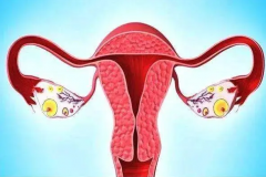 试管胚胎成功移植需满足四大条件，子宫腔良好容受性为关键要素之一