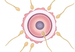 湘雅医院一、二、三附院科室精选指南：按需定制，找到最适合您的医