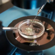 试管移植后遇腹胀莫慌，三大应对策略安全护航着床过程！