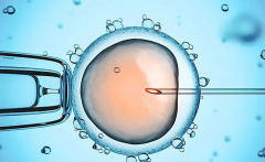 试管前服用多西环素必读：这3类患者务必避免使用！