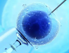 优化睡眠助力胚胎着床，如何应对试管移植后的熬夜