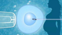 湘潭三代试管新选择：唯一正规供卵医院，您的信赖之选！