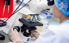 秦皇岛中医院试管费用揭晓：高性价比，成功触手可及！