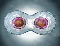 白化病夫妻适宜几代试管？资深专家深度解析，为您指引方向！