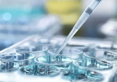 廊坊中医院试管费用全揭秘：透明合理，性价比之选！