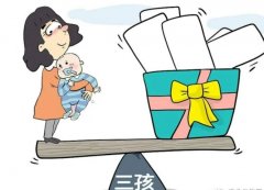 <b>如何申请河南省的三胎补助？有哪些注意事项？</b>