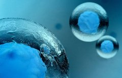 一文了解西安冻卵手术费用清单及注意事项