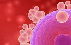 做三代试管，什么样的卵泡才合格？