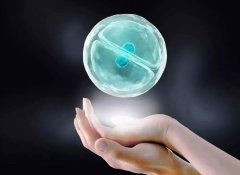 胚胎移植后的每一天会发生哪些变化？