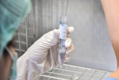 重庆市医院:人工授精那点事儿