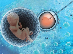 试管移植前安全警示：头孢类药物为何需禁用，以保障受孕成功率