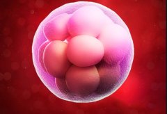 注意！试管鲜胚移植这些禁忌事项需要牢记