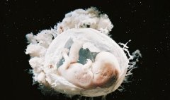 一文了解试管冻胚4个等级，选择最佳试管冻胚要注意这些