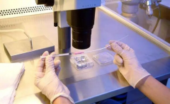 营造理想胚胎成长环境！移植后被窝温度管理的关键策略