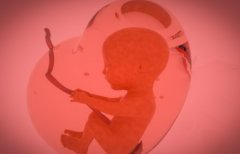 收藏！一文带你了解首次做试管要做得四大准备