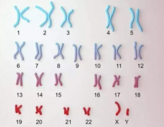 染色体异常怎么办？乌鲁木齐医院有妙招！