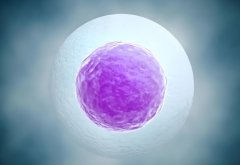 试管胚胎移植有哪些注意事项?如何预防移植失败?