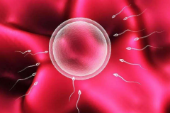 生殖中心促排卵治疗全流程：术前检查，奠定成功基石的第一步！