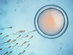 冻胚移植前一月全面身体调理方案，三大关键准备步骤一个都不能少！