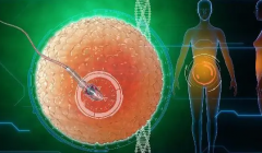 南平供卵助孕机构推荐，圆***妈梦！