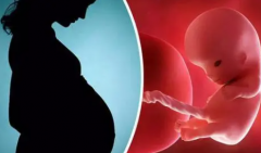 厦门助孕机构，首选这4家正规医院！