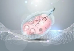 囊胚移植次日，两大关键要素关乎着床成功与否需警惕！