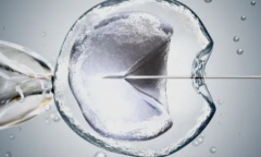 试管费用真的可以报销了？南昌这家医院带来好消息！