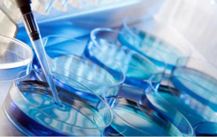 地中海贫血可以借助试管生育，相关情况详解