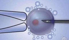 三代试管是移植囊胚还是冻胚？一文带你了解！