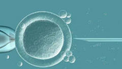 女方患肺结核对试管移植的影响深析，潜在风险与应对策略