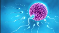 D5胚胎移植前有这些症状，一文了解D5胚胎的着床时间