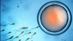 一文了解移植冻胚后测着床的时间，胚胎发育阶段影响着床时间